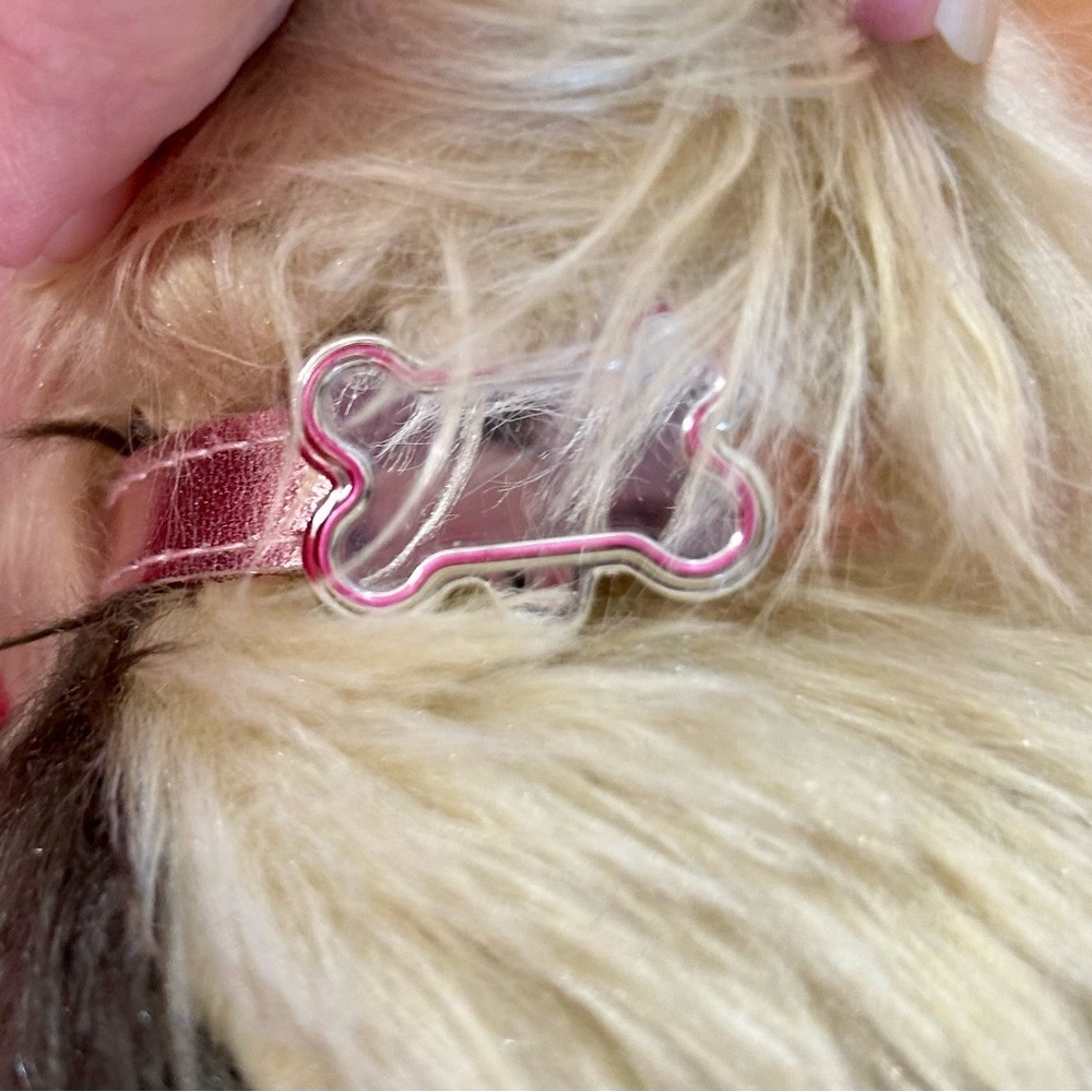 American Girl doll Truly Me Yorkshire Terrier Puppy Dog with pink collar - Picture 6 of 6